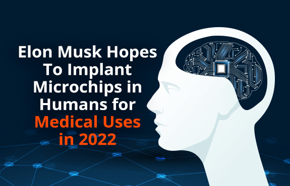Side of Human Skull With Brain Exposed Showing Elon Musk's Hopes of Implanting Microchips in Humans