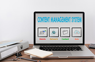 Content Management System for SEO (SEO CMS)