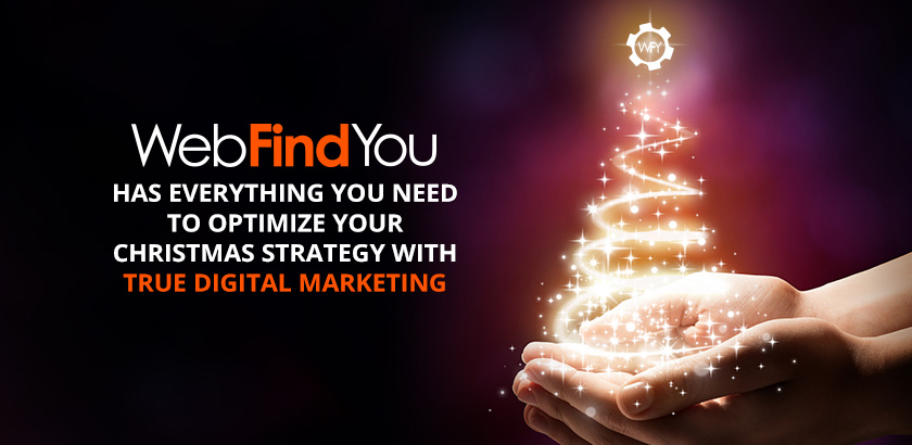 WebFindYou Ensures a Successful Digital Marketing Strategy