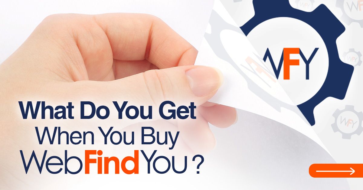 What Do You Get When You Buy WebFindYou?