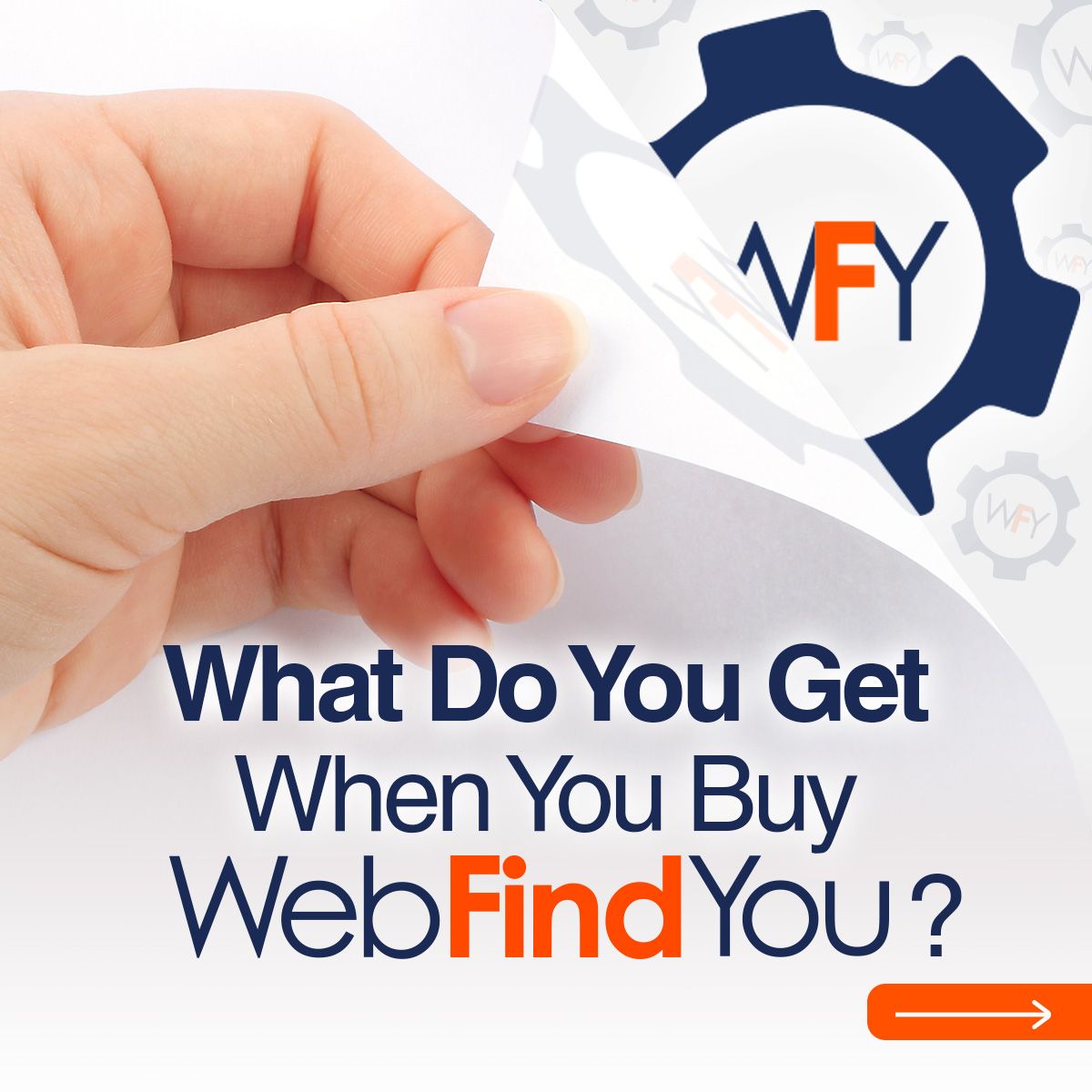 What Do You Get When You Buy WebFindYou?