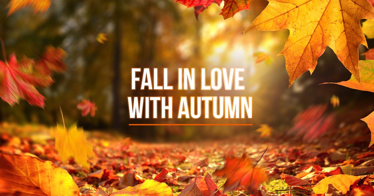 Fall in love with autumn