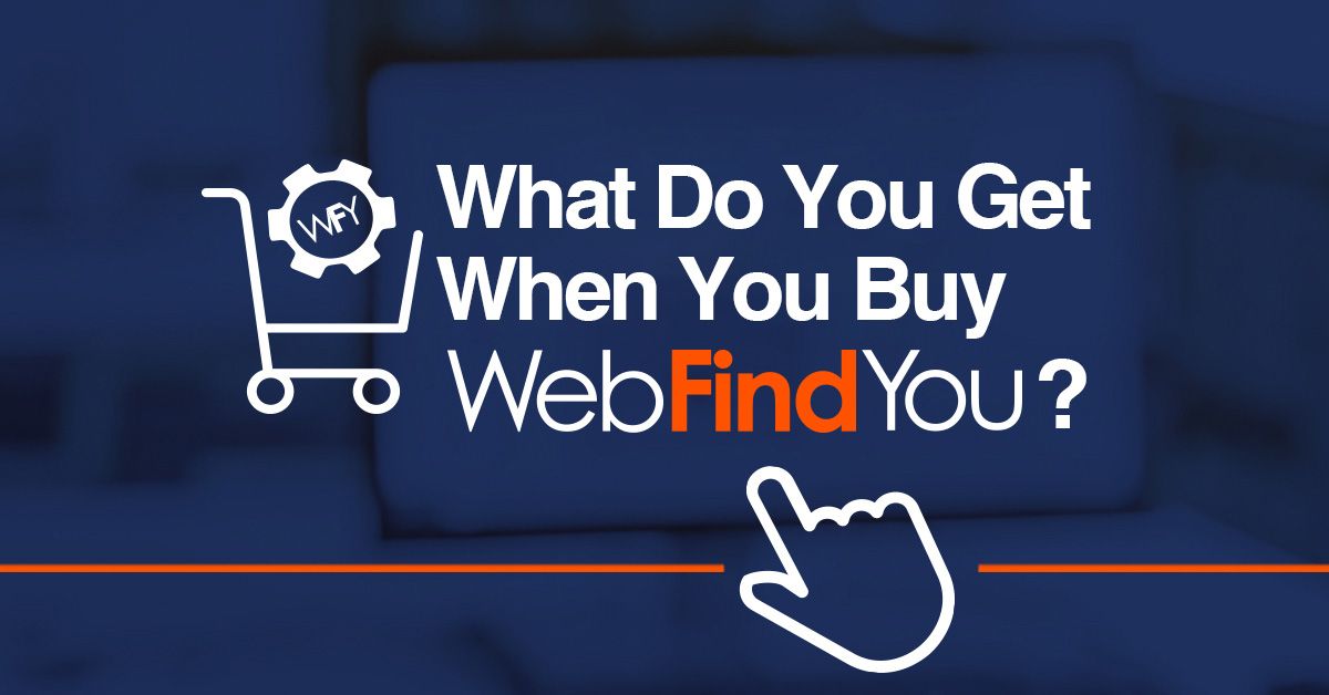 What Do You Get When You Buy WebFindYou?