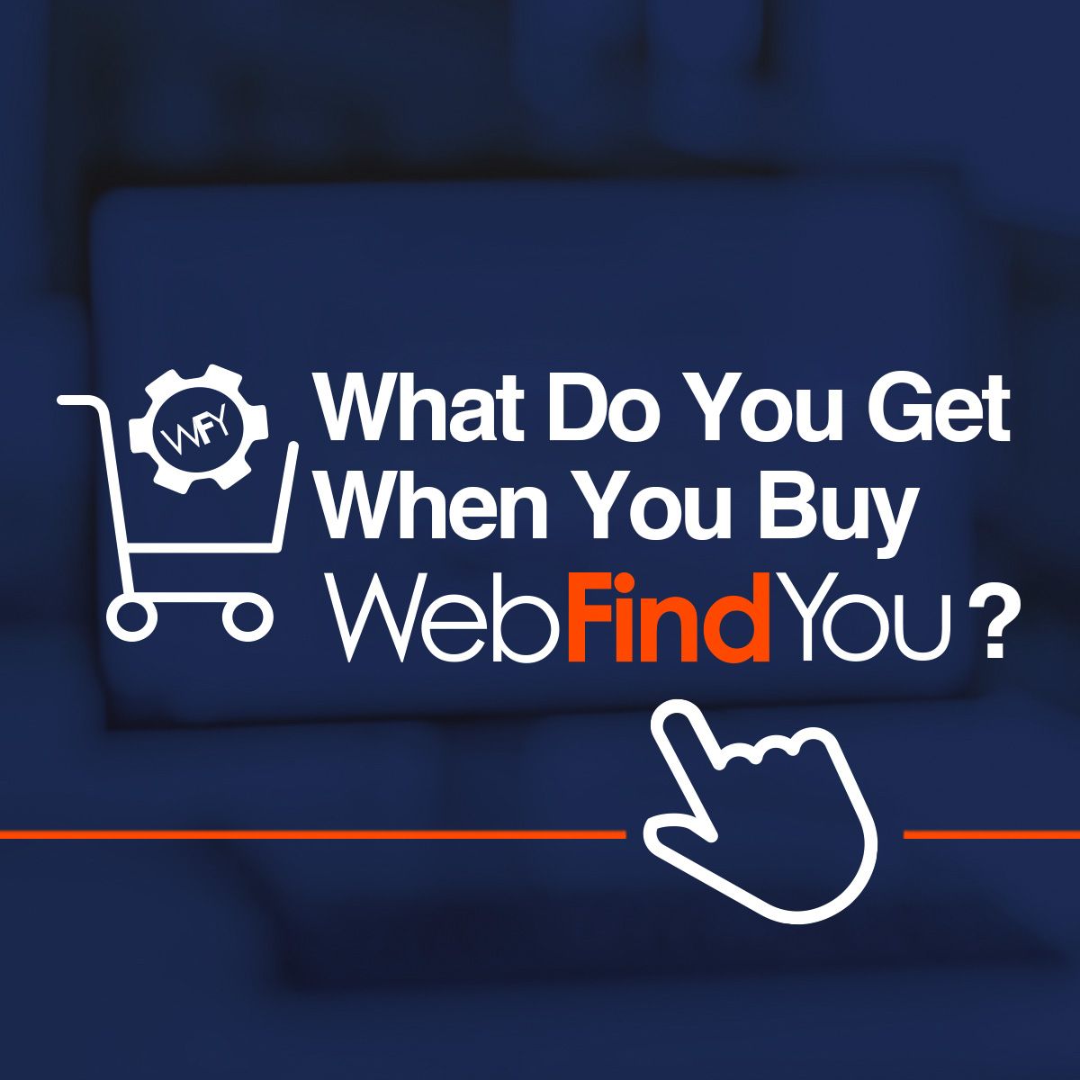 What Do You Get When You Buy WebFindYou?