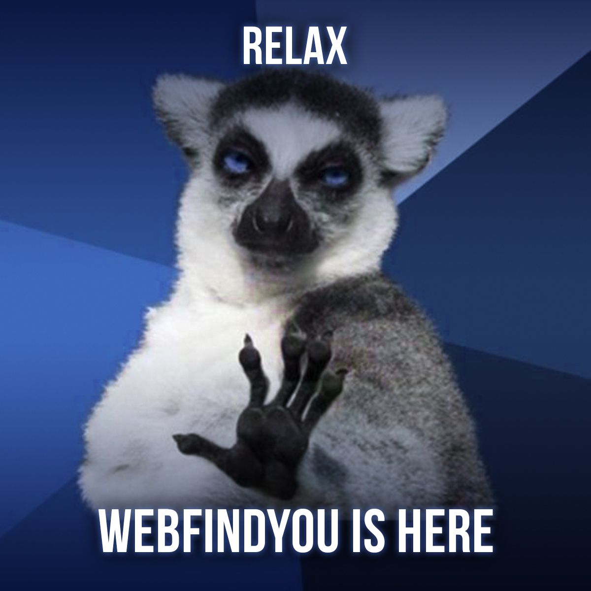 Relax WebFindYou is Here