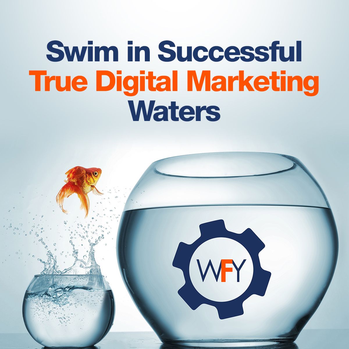 Swim in Successful True Digital Marketing Waters