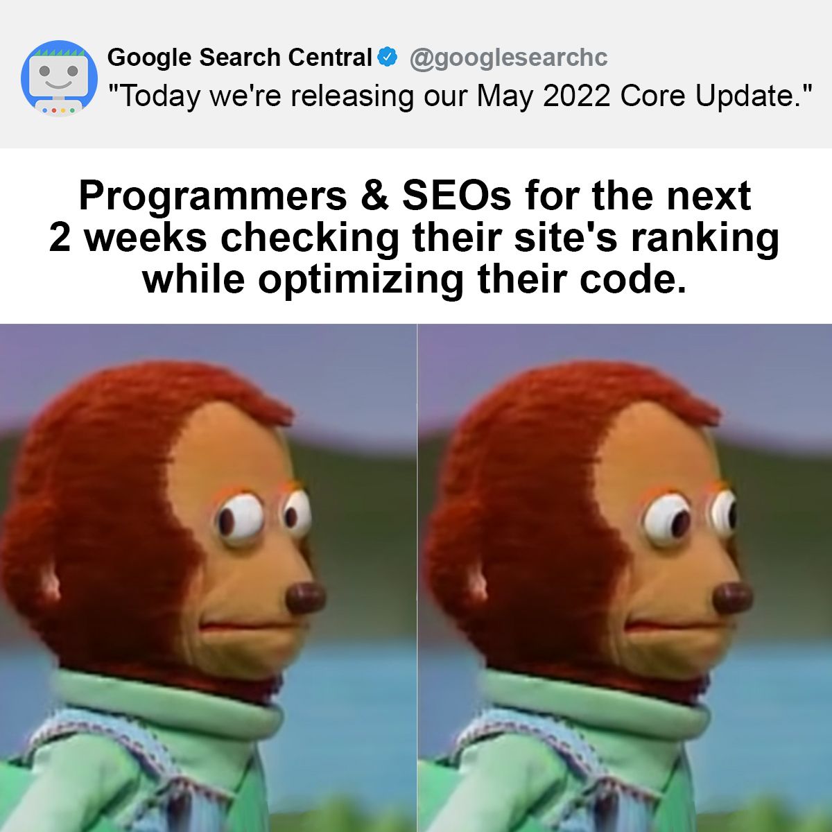 Google May 2022 Core Update Meme