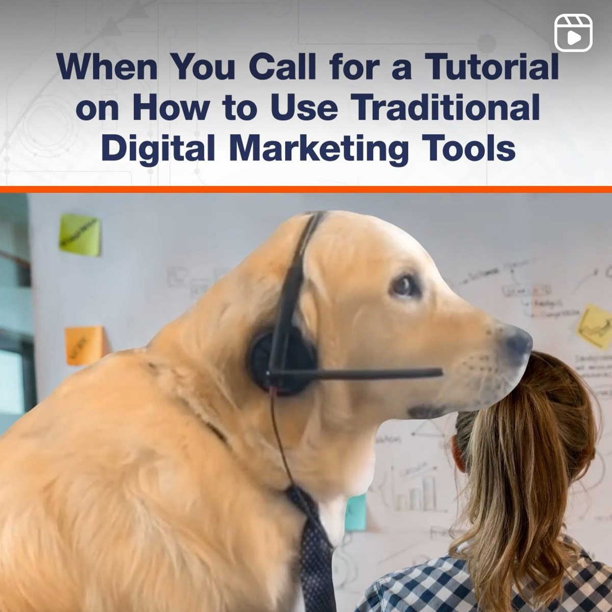 When You Call for a Tutorial on How to Use Traditional Digital Marketing Tools